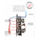 FORNO A GAS COMBINATO CONVEZIONE - CON VAPORE DIRETTO - CAPACITA' 11 TEGLIE GN 1/1 - COMANDI TOUCH SCREEN