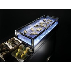 ESPOSITORE RERIGERATO ICEBOX