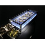 ESPOSITORE RERIGERATO ICEBOX