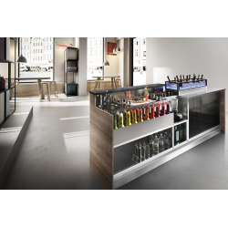 ESPOSITORE RERIGERATO ICEBOX