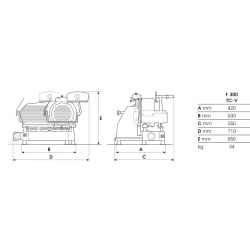 AFFETTATRICE PROFESSIONALE VERTICALE