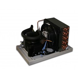 MINICELLA FRIGO CON MOTORE REMOTO