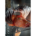ARMADIO FROLLATURA PESCE PANORAMA-CAPACITA' 180 KG-TEMPERATURA 0°/+10°-UMIDITA' 40%-90%-LAMPADE U.V.-TOUCH SCREEN-TECNOLOGIA 4.0
