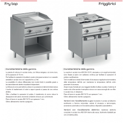 FRY TOP A GAS PROFESSIONALE PIASTRA LISCIA