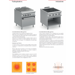 CUCINA INDUZIONE PROFESSIONALE
