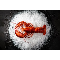 FABBRICATORE DI GHIACCIO MODULARE HOSHIZAKI