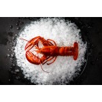 FABBRICATORE DI GHIACCIO MODULARE HOSHIZAKI